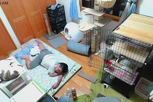 00時25分 ごろ