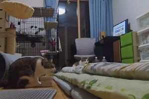21時55分 ごろ