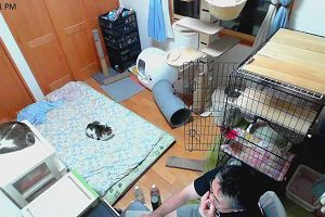 23時05分 ごろ