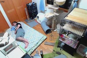23時40分 ごろ