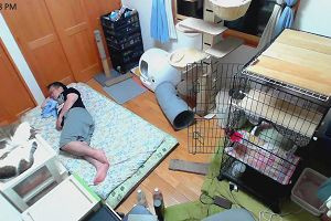 23時45分 ごろ