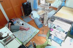 09時05分 ごろ