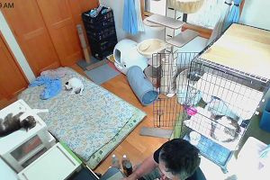 10時25分 ごろ