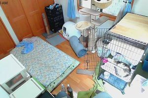 11時55分 ごろ