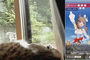 12時15分 ごろ