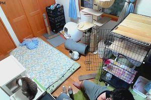16時40分 ごろ