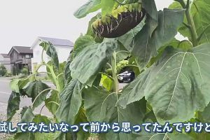 04時15分 ごろ