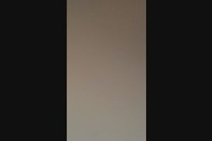 19時55分 ごろ
