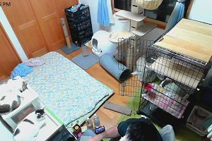 22時30分 ごろ
