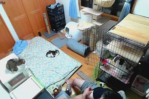 19時20分 ごろ