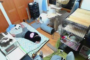 20時50分 ごろ