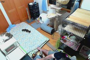 23時00分 ごろ