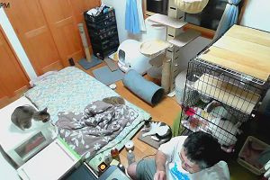 19時55分 ごろ