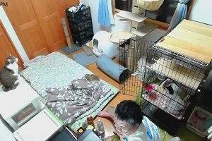 20時05分 ごろ