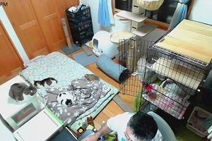 20時20分 ごろ