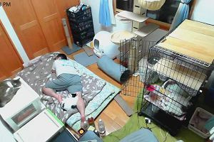 22時40分 ごろ