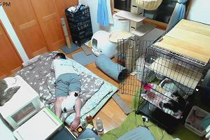 23時00分 ごろ