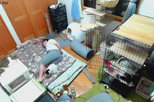 23時20分 ごろ