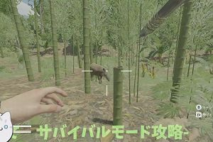 23時55分 ごろ