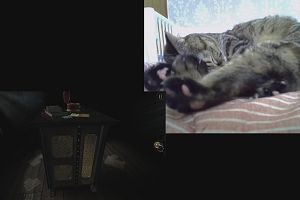 16時05分 ごろ