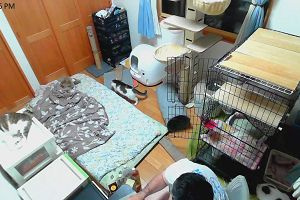 22時05分 ごろ