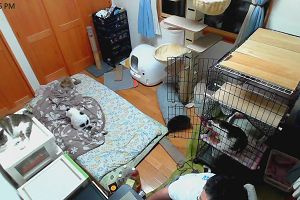 22時10分 ごろ
