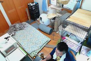 15時10分 ごろ