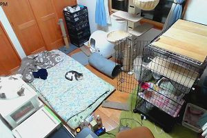 19時00分 ごろ