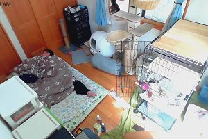 10時05分 ごろ