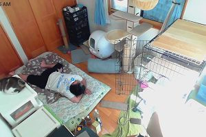 10時45分 ごろ