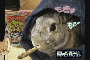 19時05分 ごろ