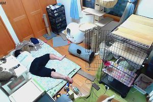 05時35分 ごろ