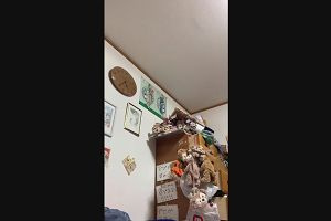 04時30分 ごろ