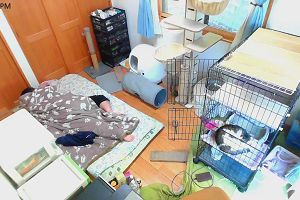 14時55分 ごろ
