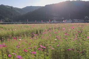 15時45分 ごろ