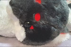 16時25分 ごろ