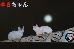 00時25分 ごろ