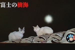 00時50分 ごろ