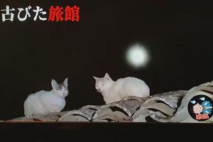 01時15分 ごろ
