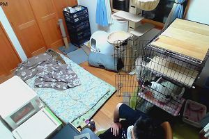 17時45分 ごろ