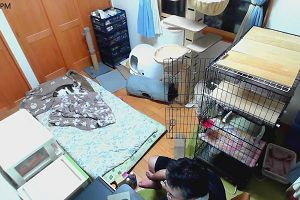 18時05分 ごろ