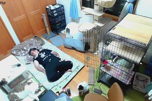 19時20分 ごろ