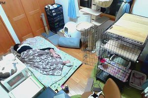20時45分 ごろ