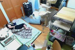 21時00分 ごろ