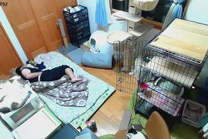 21時15分 ごろ