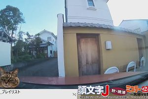 15時55分 ごろ