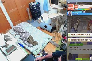 23時35分 ごろ