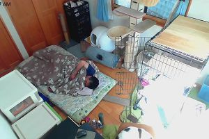 10時55分 ごろ