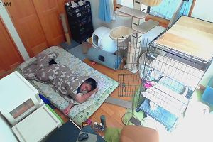 11時45分 ごろ