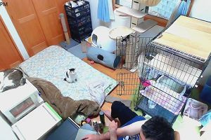 16時05分 ごろ